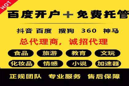搜索引擎优化（SEO）与竞价广告（SEM）的对比案例